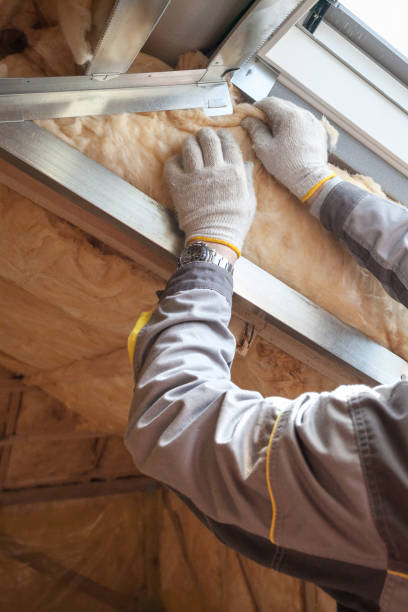 Best Blown-in Insulation in Shoshone, ID