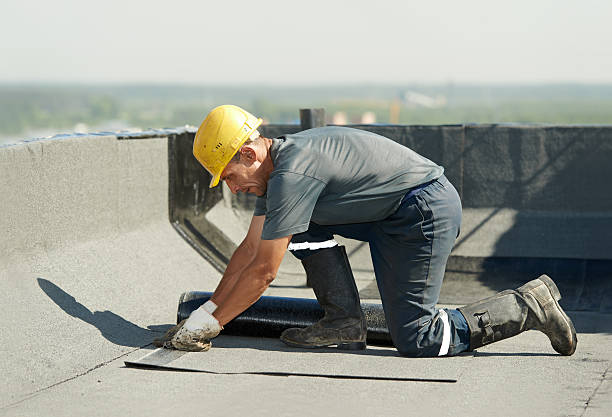 Best Geographic-Specific Insulation Services in Shoshone, ID